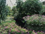 Longwood Gardens  Pennsylvania  USA