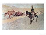 Trailing Texas Longhorns