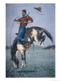 Bronco-Buster