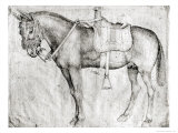 Mule