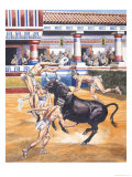 Dancing with Bulls