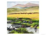 Morgan's Buccaneers