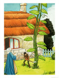 Jack and the Beanstalk