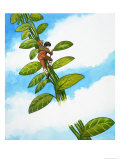 Jack and the Beanstalk