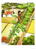 Jack and the Beanstalk