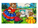 Katie Country Mouse