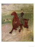 The Amazon  1882