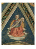 Sibyl  1483-86