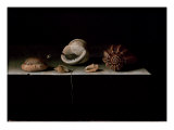 Six Shells on a Stone Shelf  1696