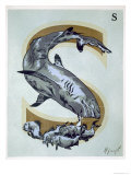 Capital Letter S  from L'Art Croquis D'Animaux  Published Paris  c1920