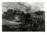 Bear Garden  1647