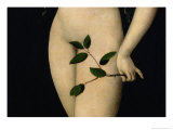 Eve  1528
