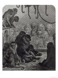 London Monkeys