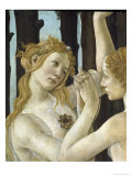 Primavera  c1478