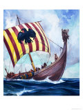 Viking Boat