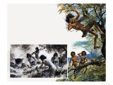 Their Changing World: The Hard Life of the Jungle Kings
