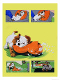 Dog Chewing Pillow