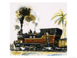 Narrow Guage Wt Class Bagnall-Built Tank Engine on the Western Railways