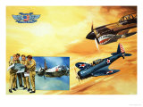 Planes of the Confederate Air Force