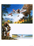 Into the Blue: The Water Bomber