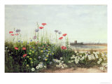 Bank of Summer Flowers
