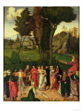 The Judgement of Solomon  1505