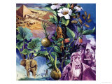 Unidentified Montage of Plants  Elephant and Pyramid