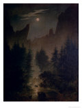 Clearing in the Forest