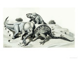 Battle Between an Egg-Robbing Oviraptor and a Mother Protoceratops