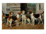 Study of Hounds