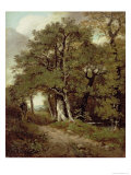 Wooded Path