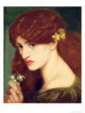 Snowdrops  1873