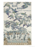 Design For Playbill For The Bluebird  1909