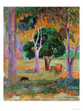Dominican Landscape Or  Landscape with a Pig and Horse  1903