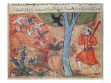 Hunting Birds  from The Book of Kalila and Dimna  from The Fables of Bidpay