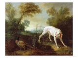 Blanche  Bitch of the Royal Hunting Pack