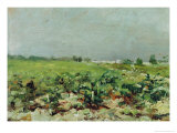 Celeyran  View of the Vineyard  1880