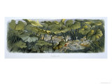 Wood Elves at Play  Illustration from In Fairyland: A Series of Pictures from the Elf-World