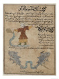 Aquarius and Pisces  the Wonders of the Creation and the Curiosities of Existence by Al-Qazwini