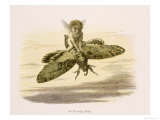 Evening Ride  In Fairyland: A Series of Pictures from the Elf-World