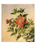 Flowers  1835