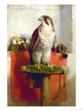 Falcon  1837