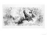 The Wolf and the Lamb  Illustration from Fables by Jean de La Fontaine