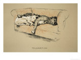 Toleration  1930  1st Edition of Sleeping Partners