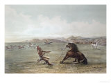 Catching Wild Horses on the Plains