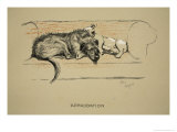 Approbation  1930  1st Edition of Sleeping Partners