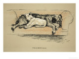 Probation  1930  1st Edition of Sleeping Partners