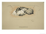 Amalgamation  1930  1st Edition of Sleeping Partners