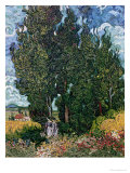 The Cypresses  c1889-90