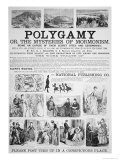 Anti-Mormon Poster Advertising a Book Critical of Polygamy Or  the Mysteries of Mormonism